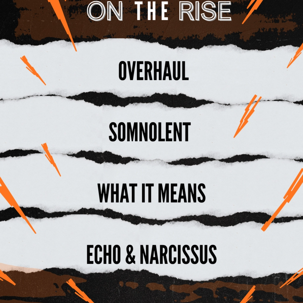ON THE RISE - OVERHAUL, SOMNOLENT,  WHAT IT MEANS, ECHO & NARCISSUS