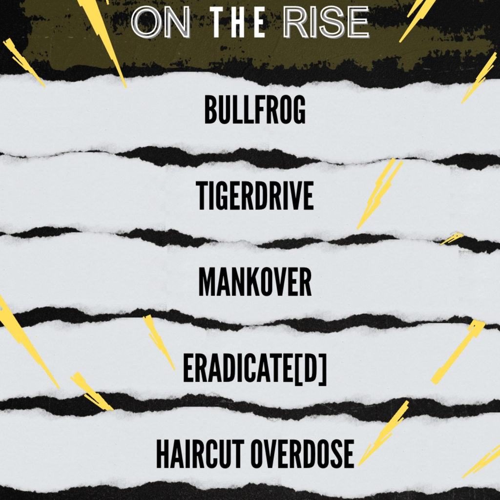 ON THE RISE - BULLFROG, TIGERDRIVE,  MANKOVER, ERADICATE[D], HAIRCUT OVERDOSE